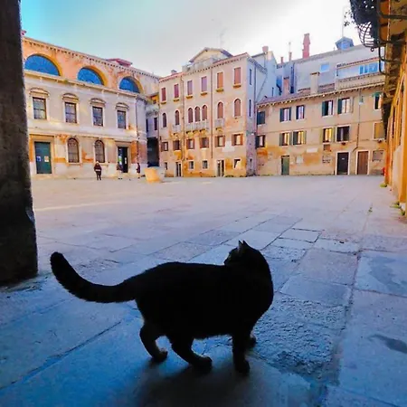 Διαμέρισμα Ca Perdon *